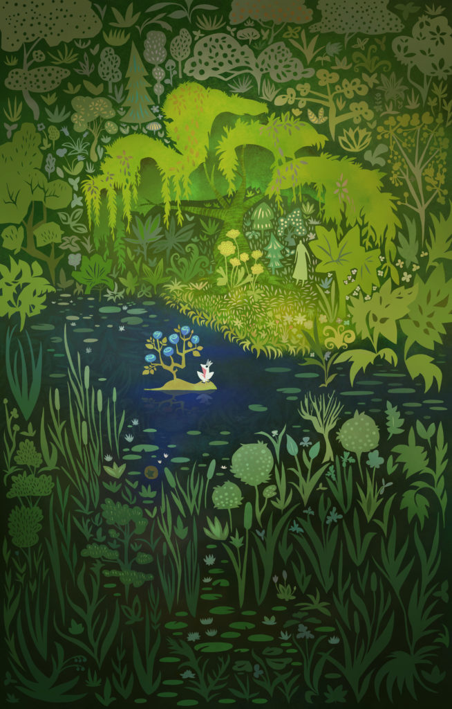 nature forest pond illustration art